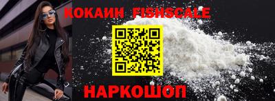 jwh Бийск