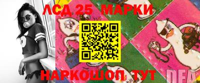 jwh Бийск
