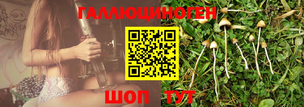 Галлюциногенные грибы ЛСД  Вход с VPN  Будённовск  Галлюциногенные грибы ЛСД 